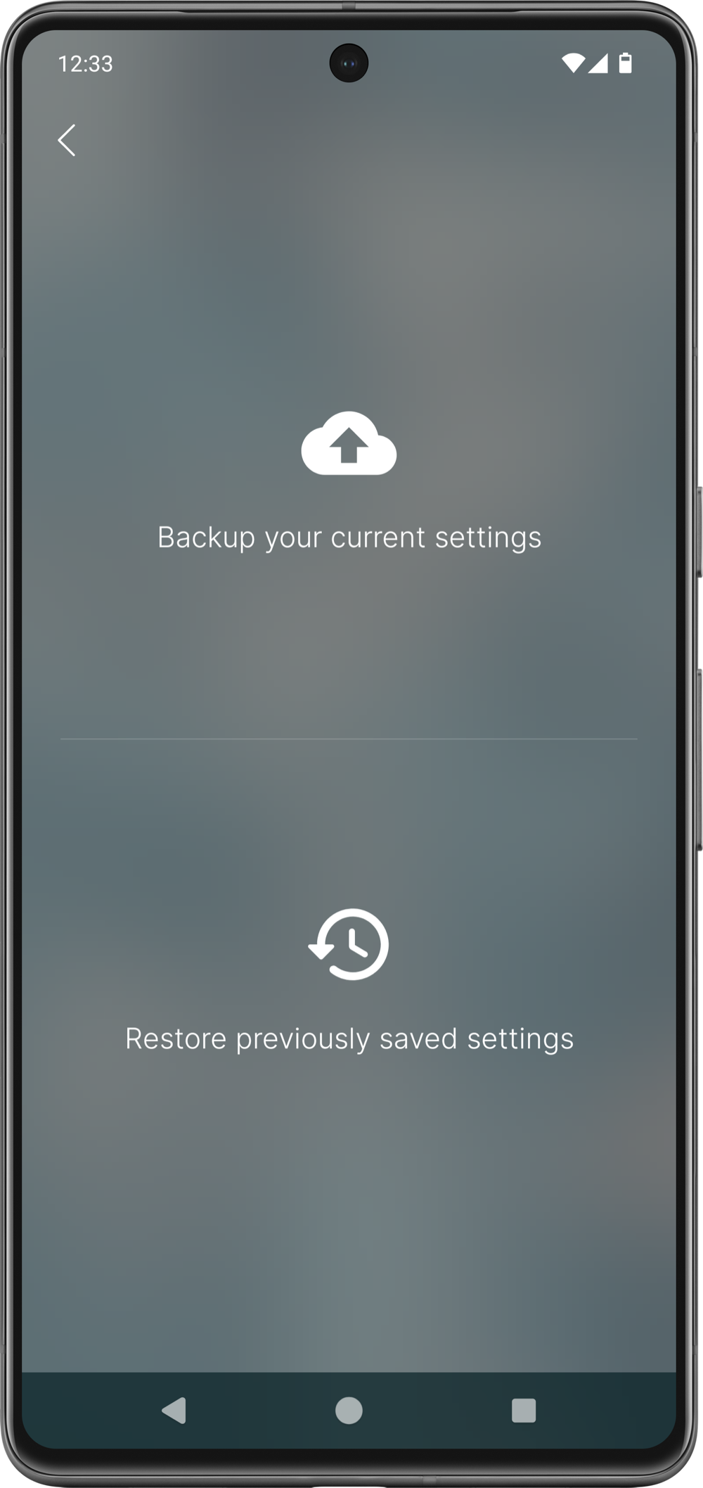 Backup/Restore preview