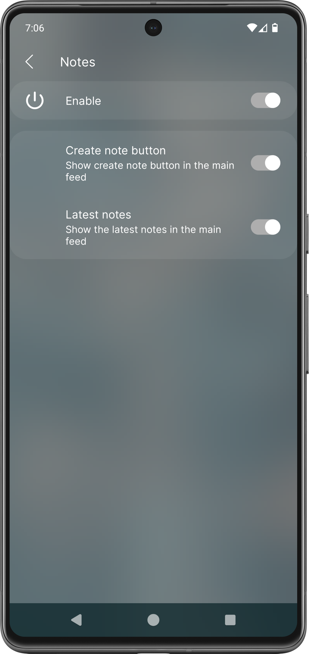 Notes settings preview