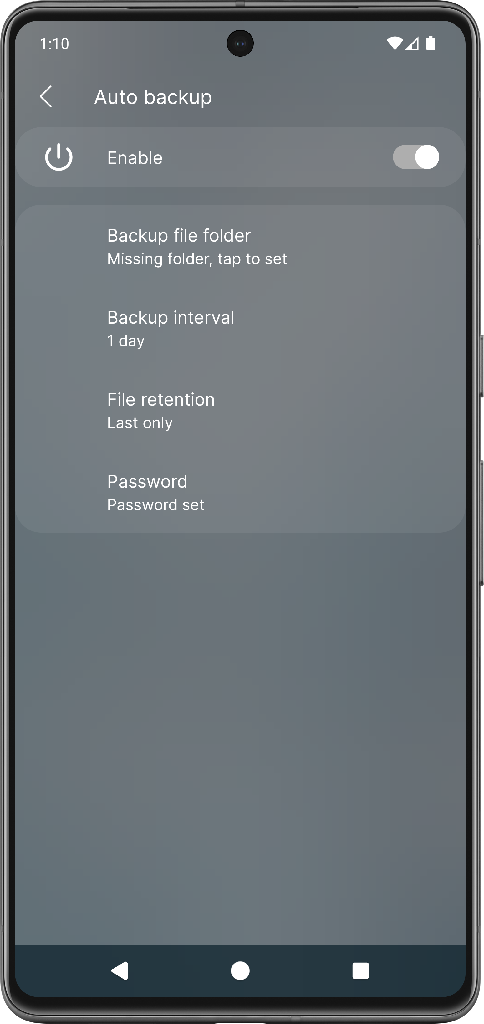 Auto backup settings preview