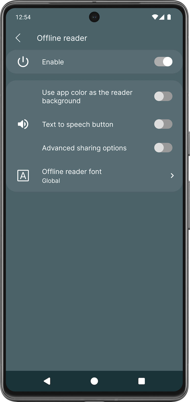 NewsFeed offline reader settings
